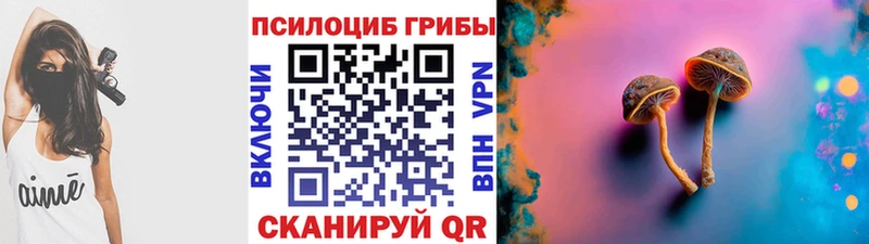 Купить где  Миньяр  Галлюциногенные грибы MAGIC MUSHROOMS 